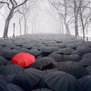 Meet your Posher, De'anqua